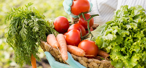 Plantation et fleurissement de jardin - Partage Travail 51